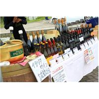 AICTRICO1012 (119).jpg